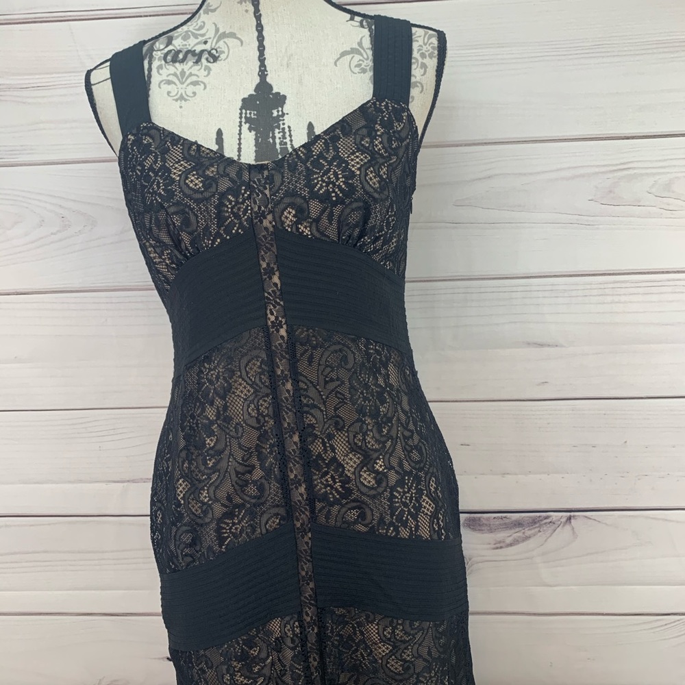 🦩LOFT 🦩nude and black lace dreas Sz 4